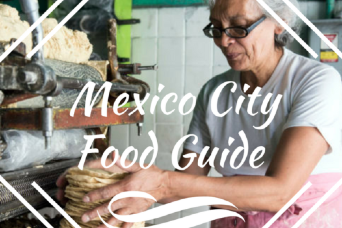 Mexico-City-Food-Guide-500x750